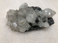 M 00650
<br/>
<br/>
<em></em>